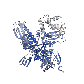 19023_8rdj_C_v1-0
Plastid-encoded RNA polymerase transcription elongation complex (Integrated model)