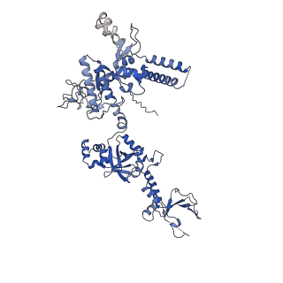 19023_8rdj_D_v1-0
Plastid-encoded RNA polymerase transcription elongation complex (Integrated model)