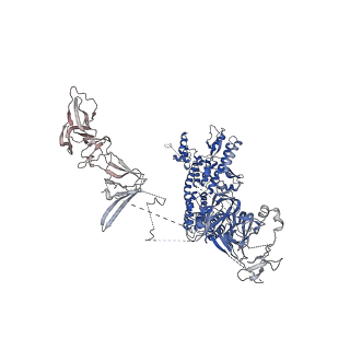 19023_8rdj_E_v1-0
Plastid-encoded RNA polymerase transcription elongation complex (Integrated model)