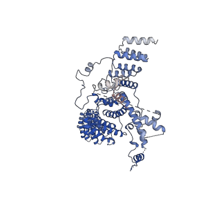 19023_8rdj_F_v1-0
Plastid-encoded RNA polymerase transcription elongation complex (Integrated model)