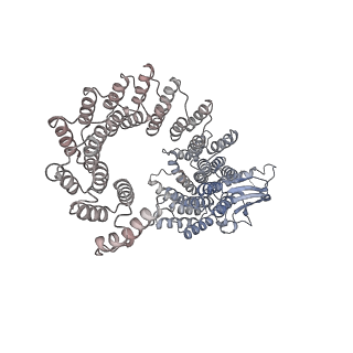 19023_8rdj_G_v1-0
Plastid-encoded RNA polymerase transcription elongation complex (Integrated model)