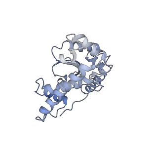 19023_8rdj_I_v1-0
Plastid-encoded RNA polymerase transcription elongation complex (Integrated model)