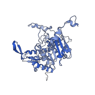 19023_8rdj_K_v1-0
Plastid-encoded RNA polymerase transcription elongation complex (Integrated model)