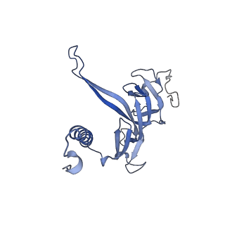 19023_8rdj_M_v1-0
Plastid-encoded RNA polymerase transcription elongation complex (Integrated model)