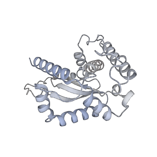 19023_8rdj_N_v1-0
Plastid-encoded RNA polymerase transcription elongation complex (Integrated model)