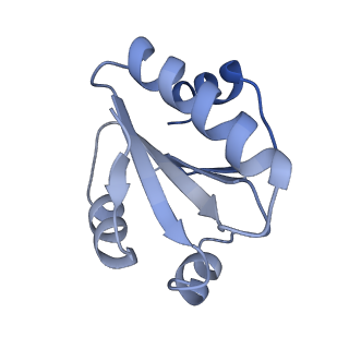 19023_8rdj_P_v1-0
Plastid-encoded RNA polymerase transcription elongation complex (Integrated model)