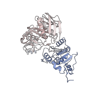 19023_8rdj_Q_v1-0
Plastid-encoded RNA polymerase transcription elongation complex (Integrated model)