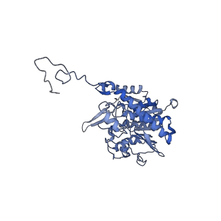 19023_8rdj_S_v1-0
Plastid-encoded RNA polymerase transcription elongation complex (Integrated model)