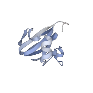 19023_8rdj_T_v1-0
Plastid-encoded RNA polymerase transcription elongation complex (Integrated model)