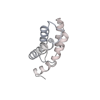 19023_8rdj_U_v1-0
Plastid-encoded RNA polymerase transcription elongation complex (Integrated model)