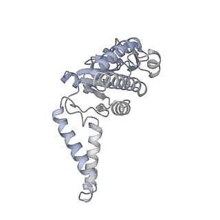 19067_8rd8_A4_v1-2
Cryo-EM structure of P. urativorans 70S ribosome in complex with hibernation factors Balon and RaiA (structure 1).