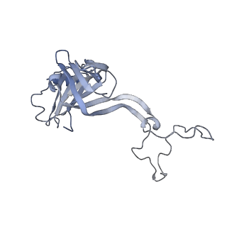 19067_8rd8_Af_v1-2
Cryo-EM structure of P. urativorans 70S ribosome in complex with hibernation factors Balon and RaiA (structure 1).