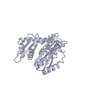 19067_8rd8_B_v1-2
Cryo-EM structure of P. urativorans 70S ribosome in complex with hibernation factors Balon and RaiA (structure 1).