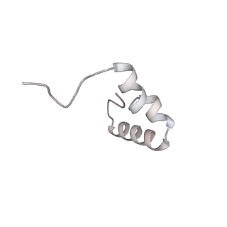 19067_8rd8_Ba_v1-2
Cryo-EM structure of P. urativorans 70S ribosome in complex with hibernation factors Balon and RaiA (structure 1).