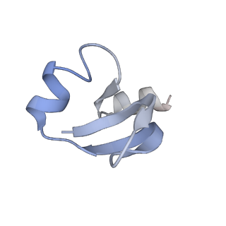 19067_8rd8_C1_v1-2
Cryo-EM structure of P. urativorans 70S ribosome in complex with hibernation factors Balon and RaiA (structure 1).