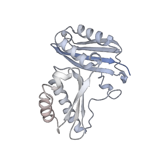 19067_8rd8_CT_v1-2
Cryo-EM structure of P. urativorans 70S ribosome in complex with hibernation factors Balon and RaiA (structure 1).