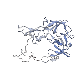 19067_8rd8_Cl_v1-2
Cryo-EM structure of P. urativorans 70S ribosome in complex with hibernation factors Balon and RaiA (structure 1).