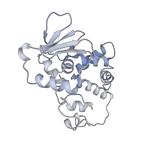 19067_8rd8_Dm_v1-2
Cryo-EM structure of P. urativorans 70S ribosome in complex with hibernation factors Balon and RaiA (structure 1).