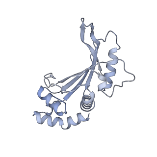 19067_8rd8_F7_v1-2
Cryo-EM structure of P. urativorans 70S ribosome in complex with hibernation factors Balon and RaiA (structure 1).