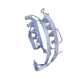 19067_8rd8_FG_v1-2
Cryo-EM structure of P. urativorans 70S ribosome in complex with hibernation factors Balon and RaiA (structure 1).