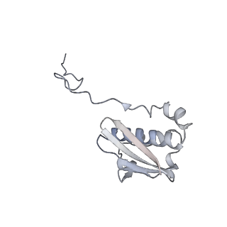 19067_8rd8_F_v1-2
Cryo-EM structure of P. urativorans 70S ribosome in complex with hibernation factors Balon and RaiA (structure 1).