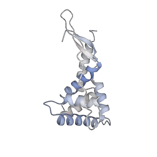 19067_8rd8_GS_v1-2
Cryo-EM structure of P. urativorans 70S ribosome in complex with hibernation factors Balon and RaiA (structure 1).