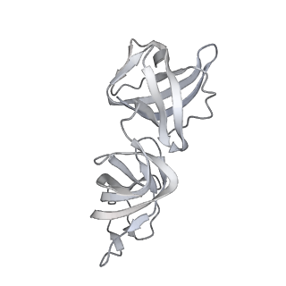 19067_8rd8_H_v1-2
Cryo-EM structure of P. urativorans 70S ribosome in complex with hibernation factors Balon and RaiA (structure 1).