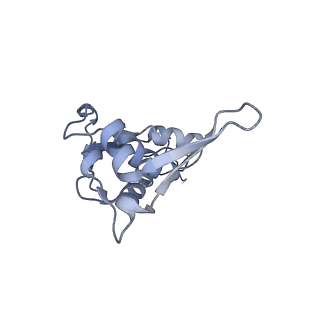 19067_8rd8_IX_v1-2
Cryo-EM structure of P. urativorans 70S ribosome in complex with hibernation factors Balon and RaiA (structure 1).