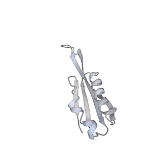 19067_8rd8_JY_v1-2
Cryo-EM structure of P. urativorans 70S ribosome in complex with hibernation factors Balon and RaiA (structure 1).