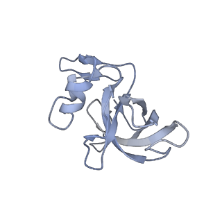 19067_8rd8_Je_v1-2
Cryo-EM structure of P. urativorans 70S ribosome in complex with hibernation factors Balon and RaiA (structure 1).