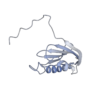 19067_8rd8_KU_v1-2
Cryo-EM structure of P. urativorans 70S ribosome in complex with hibernation factors Balon and RaiA (structure 1).