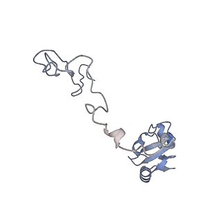 19067_8rd8_Kd_v1-2
Cryo-EM structure of P. urativorans 70S ribosome in complex with hibernation factors Balon and RaiA (structure 1).