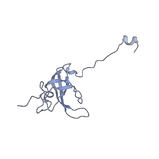 19067_8rd8_L6_v1-2
Cryo-EM structure of P. urativorans 70S ribosome in complex with hibernation factors Balon and RaiA (structure 1).