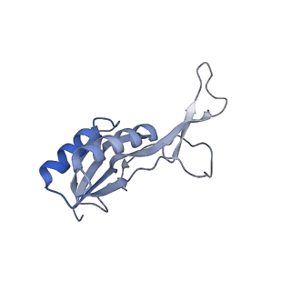 19067_8rd8_Lg_v1-2
Cryo-EM structure of P. urativorans 70S ribosome in complex with hibernation factors Balon and RaiA (structure 1).