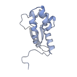 19067_8rd8_MB_v1-2
Cryo-EM structure of P. urativorans 70S ribosome in complex with hibernation factors Balon and RaiA (structure 1).