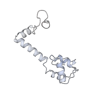 19067_8rd8_MM_v1-2
Cryo-EM structure of P. urativorans 70S ribosome in complex with hibernation factors Balon and RaiA (structure 1).