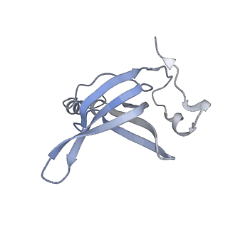 19067_8rd8_Oi_v1-2
Cryo-EM structure of P. urativorans 70S ribosome in complex with hibernation factors Balon and RaiA (structure 1).