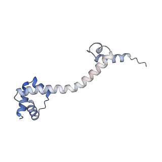 19067_8rd8_PO_v1-2
Cryo-EM structure of P. urativorans 70S ribosome in complex with hibernation factors Balon and RaiA (structure 1).