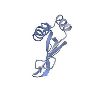 19067_8rd8_Pj_v1-2
Cryo-EM structure of P. urativorans 70S ribosome in complex with hibernation factors Balon and RaiA (structure 1).