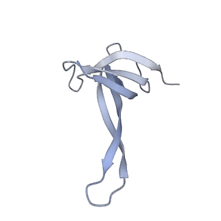 19067_8rd8_QZ_v1-2
Cryo-EM structure of P. urativorans 70S ribosome in complex with hibernation factors Balon and RaiA (structure 1).