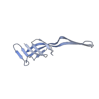 19067_8rd8_Qb_v1-2
Cryo-EM structure of P. urativorans 70S ribosome in complex with hibernation factors Balon and RaiA (structure 1).