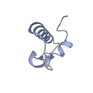 19067_8rd8_R3_v1-2
Cryo-EM structure of P. urativorans 70S ribosome in complex with hibernation factors Balon and RaiA (structure 1).