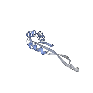 19067_8rd8_RF_v1-2
Cryo-EM structure of P. urativorans 70S ribosome in complex with hibernation factors Balon and RaiA (structure 1).