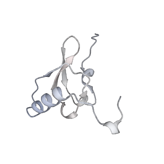 19067_8rd8_SP_v1-2
Cryo-EM structure of P. urativorans 70S ribosome in complex with hibernation factors Balon and RaiA (structure 1).