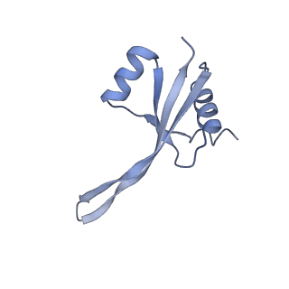 19067_8rd8_Sn_v1-2
Cryo-EM structure of P. urativorans 70S ribosome in complex with hibernation factors Balon and RaiA (structure 1).