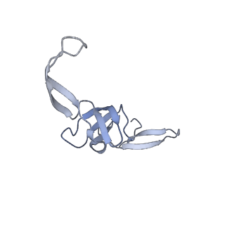 19067_8rd8_TI_v1-2
Cryo-EM structure of P. urativorans 70S ribosome in complex with hibernation factors Balon and RaiA (structure 1).