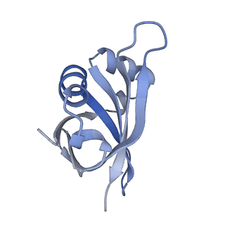 19067_8rd8_UC_v1-2
Cryo-EM structure of P. urativorans 70S ribosome in complex with hibernation factors Balon and RaiA (structure 1).