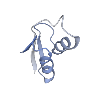 19067_8rd8_YW_v1-2
Cryo-EM structure of P. urativorans 70S ribosome in complex with hibernation factors Balon and RaiA (structure 1).