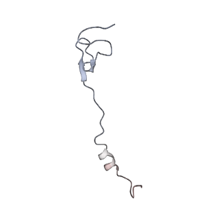 19067_8rd8_aA_v1-2
Cryo-EM structure of P. urativorans 70S ribosome in complex with hibernation factors Balon and RaiA (structure 1).