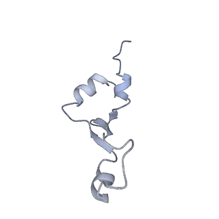 19067_8rd8_dh_v1-2
Cryo-EM structure of P. urativorans 70S ribosome in complex with hibernation factors Balon and RaiA (structure 1).